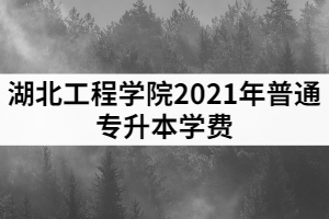 2021年湖北工程學(xué)院普通專(zhuān)升本各專(zhuān)業(yè)收費(fèi)標(biāo)準(zhǔn)