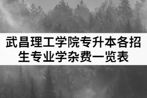 2021年武昌理工學(xué)院專(zhuān)升本各招生專(zhuān)業(yè)學(xué)雜費(fèi)一覽表