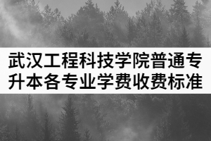 2021年武漢工程科技學(xué)院普通專升本各專業(yè)學(xué)費收費標準