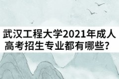 武漢工程大學(xué)2021年成人高考招生專業(yè)都有哪些？