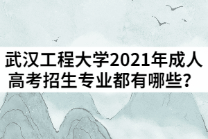 武漢工程大學(xué)2021年成人高考招生專業(yè)都有哪些？