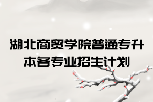 2021年湖北商貿學院2021年普通專升本各專業(yè)招生計劃