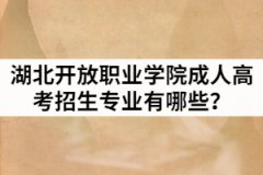 2021年湖北開放職業(yè)學(xué)院成人高考招生專業(yè)有哪些？