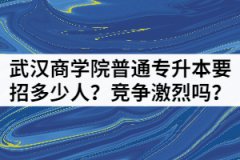 2021年武漢商學(xué)院普通專升本要招多少人？競(jìng)爭(zhēng)激烈嗎？