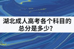 湖北成人高考各個科目的總分是多少