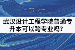 2021年武漢設(shè)計(jì)工程學(xué)院普通專(zhuān)升本可以跨專(zhuān)業(yè)嗎？該怎樣備考？