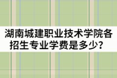 湖南城建職業(yè)技術(shù)學(xué)院2021年各招生專業(yè)學(xué)費(fèi)是多少？