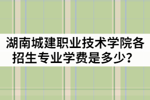 湖南城建職業(yè)技術(shù)學(xué)院2021年各招生專業(yè)學(xué)費(fèi)是多少？