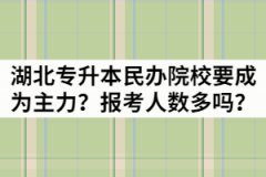 2021年湖北專升本民辦院校要成為主力？報考人數多嗎？