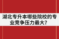 2021年湖北專升本報(bào)名人數(shù)超過(guò)7萬(wàn)，哪些院校的專業(yè)競(jìng)爭(zhēng)壓力最大？