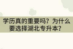 學歷真的重要嗎？為什么要選擇湖北專升本？