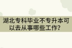 2021年湖北?？飘厴I(yè)不專升本可以去從事哪些工作？