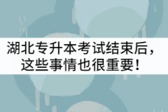 2021年湖北專升本考試結束后，這些事情也很重要！