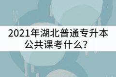 2021年湖北普通專升本公共課考什么？