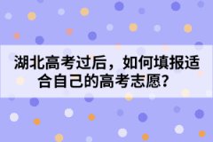 湖北高考過后，如何填報適合自己的高考志愿？