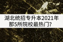 湖北統(tǒng)招專升本2021年那5所院校最熱門？