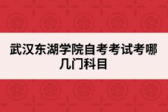 武漢東湖學院自考考試考哪幾門科目