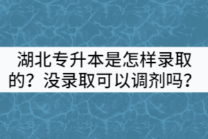 湖北專升本是怎樣進(jìn)行錄取的？沒錄取成功可以調(diào)劑嗎？