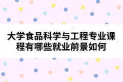 大學(xué)食品科學(xué)與工程專業(yè)課程有哪些就業(yè)前景如何 