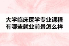 大學(xué)臨床醫(yī)學(xué)專業(yè)課程有哪些就業(yè)前景怎么樣