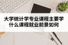 大學(xué)統(tǒng)計學(xué)專業(yè)課程主要學(xué)什么課程就業(yè)前景如何