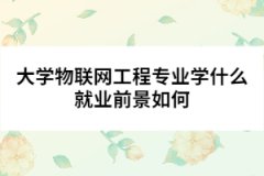 大學(xué)物聯(lián)網(wǎng)工程專業(yè)學(xué)什么就業(yè)前景如何