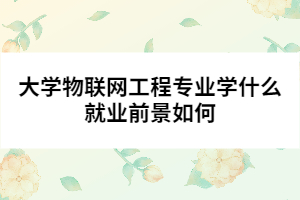 大學(xué)物聯(lián)網(wǎng)工程專業(yè)學(xué)什么就業(yè)前景如何