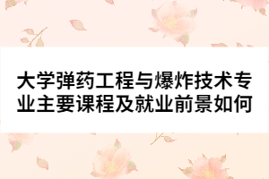 大學(xué)彈藥工程與爆炸技術(shù)專業(yè)主要課程及就業(yè)前景如何