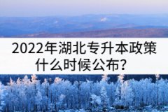 2022年湖北專升本政策什么時候公布？會有哪些內(nèi)容？