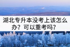湖北專升本沒考上該怎么辦？可以重考嗎？