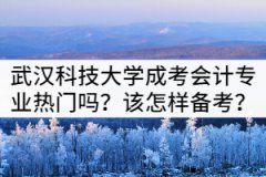 武漢科技大學(xué)成考會計專業(yè)熱門嗎？該怎樣備考？