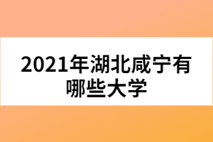 2021年湖北咸寧有哪些大學