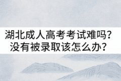 湖北成人高考考試難嗎？沒(méi)有被錄取該怎么辦？