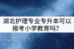 湖北護理專業(yè)專升本可以報考小學教育嗎？