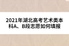 2021年湖北高考藝術(shù)類本科A、B段志愿如何填報