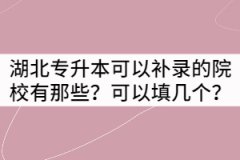 湖北專升本可以補錄的院校有那些？可以填幾個？