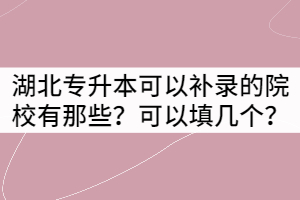 湖北專升本可以補錄的院校有那些？可以填幾個？