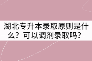 湖北專(zhuān)升本錄取原則是什么？可以調(diào)劑錄取嗎？