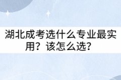 湖北成考選什么專(zhuān)業(yè)最實(shí)用？該怎么選？