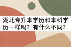湖北專(zhuān)升本學(xué)歷和本科學(xué)歷一樣嗎？有什么不同？