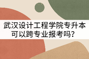 2021年武漢設(shè)計(jì)工程學(xué)院專升本可以跨專業(yè)報(bào)考嗎？