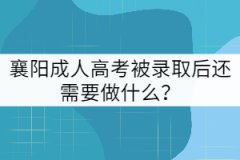 襄陽成人高考被錄取后還需要做什么？