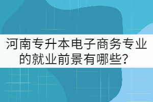 河南專升本電子商務專業(yè)的就業(yè)前景有哪些？