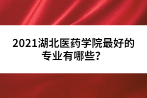 2021湖北醫(yī)藥學(xué)院最好的專業(yè)有哪些？