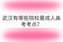 武漢有哪些院校是成人高考考點(diǎn)？