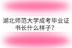 湖北師范大學(xué)成考畢業(yè)證書(shū)長(zhǎng)什么樣子？