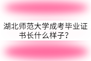 湖北師范大學(xué)成考畢業(yè)證書長(zhǎng)什么樣子？