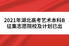 2021年湖北高考藝術(shù)本科B征集志愿院校及計(jì)劃已出