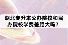 湖北專升本公辦院校和民辦院校學費差距大嗎？