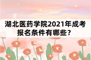 湖北醫(yī)藥學院2021年成考報名條件有哪些？
